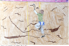 Howard Cook 9th Grade Conrad Schools of Science